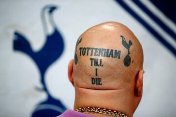 Fans who let their football passion level go to their heads... literally