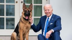 Commander, el perro de Biden, expulsado de la Casa Blanca: ¿cuál será su futuro?