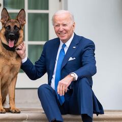 Commander, el perro de Biden, expulsado de la Casa Blanca: ¿cuál será su futuro?