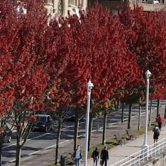 Fin del 'veroño' en España: llega el descenso de las temperaturas