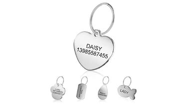 ¿Qué se necesita para tener un perro? 10 productos básicos (y baratos) para que cuides de tu mascota