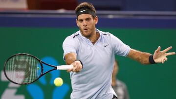 Del Potro avanza en Shanghai