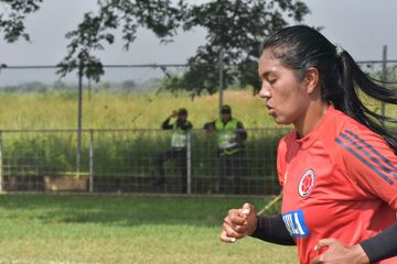 Colombia entrenó en la capital del Valle del Cauca antes de viajar a Armenia para enfrentar a Chile por la fecha 5 del Grupo A. La Tricolor va por la clasificación a semifinales de la Copa América.