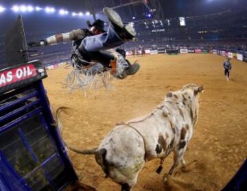 El brasileño Marco Antonio Eguchi durante la primera ronda del  PBR Frontier Communications Iron Cowboy que se ha celebrado en Texas. 