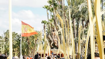 Paso de la Borriquita adornado con palmas blancas durante la Procesión de las Palmas, a 29 de marzo de 2026, en Elche, Alicante, Comunidad Valenciana (España). En Elche, la Semana Santa se inicia con la procesión de las palmas en la mañana del Domingo de Ramos, declarada Fiesta de Interés Turístico Internacional. Cada año es una cofradía diferente la encargada de portar el paso «de la Borriquita». Un trono que las familias artesanas de Elche suelen adornar con diferentes motivos de Palma Blanca.
29 MARZO 2026;PROCESIÓN DE SEMANA SANTA;DOMINGO DE RAMOS;CATOLICISMO;RELIGIÓN;TRADICIÓN
Roberto Plaza / Europa Press
29/03/2026