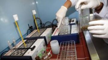 EXAMEN. En Madrid se analizan unas 8.000 muestras al año.