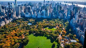 El Central Park de Nueva York espera por los hinchas colombianos