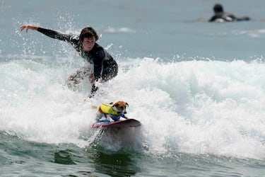 Coincidiendo con la temporada de calor en el Pacífico sur peruano, que va de diciembre a marzo, es habitual ver por las playas de la zona a Efruz, un Jack Russell Terrier de cuatro años aficionado al surf. En la foto, se desliza sobre las olas junto a su dueño, Mauro Canella, en San Bartolo, un distrito a 50 kilómetros del centro de Lima. 