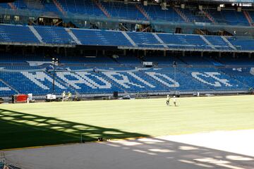 El nuevo césped del Santiago Bernabéu.