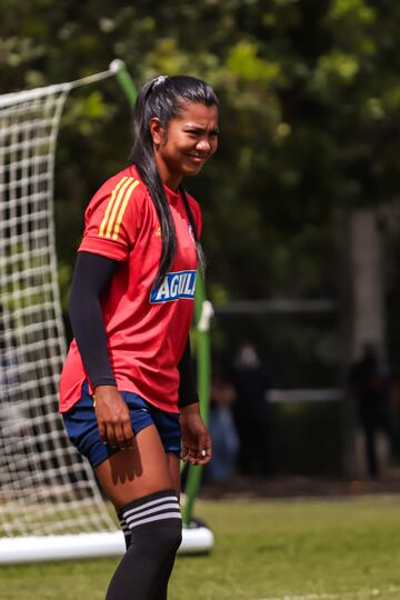 La Selección Colombia Femenina dejó atrás la celebración por clasificar al Mundial y los Juegos Olímpicos y se enfoca en la final de la Copa América ante Brasil este sábado en el Alfonso López de Bucaramanga.