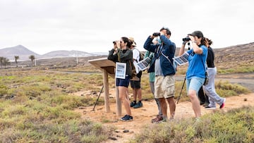I Jornada de Avistamiento de Aves Saladar de La Santa