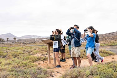 Estudio revela la gran diversidad de aves que tiene Colombia: una de las más grandes de Latinoamérica