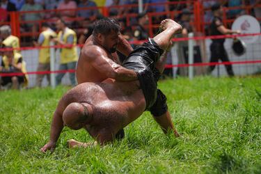 Dos participantes compiten en el campeonato de lucha en aceite que se disputó en Edirne (Turquía). Esta singular lucha tradicional, en la que los deportistas se impregnan con aceite de oliva, es un deporte nacional en este
país y genera imágenes tan pintorescas como la que se puede apreciar en la fotografía.