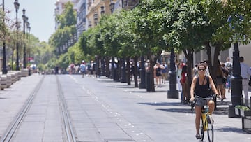 Una ciclista circula por la avenida de la Constitución desierta de peatones en el primer día de la segunda ola de calor, a 7 de julio de 2022 en Sevilla (Andalucía, España)
07 JULIO 2022
Joaquin Corchero / Europa Press
07/07/2022