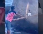 Viral: Gato cachorro es rescatado de ser llevado por el mar, lo regresan y su mamá le pega