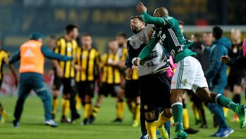 Palmeiras y Peñarol podrían recibir un fuerte castigo en la Copa Libertadores