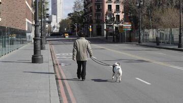 ¿Cómo desinfectar las patas de tu perro durante la cuarentena?