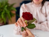 Una rosa que dura para siempre y otros regalos originales para ellas por San Valentín