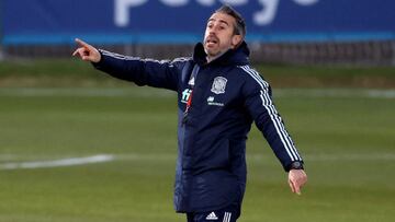 Vilda: "La forma de lograr el pase a la Eurocopa ha sido un éxito"