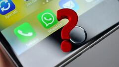 La función WhatsApp que vuelve al iPhone a petición de los usuarios