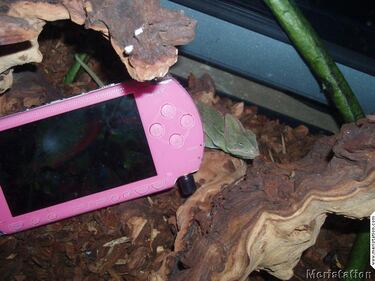 Sony estrena en Madrid su PlayStation Suite