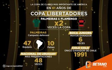 Se viene la gran final de la Libertadores: previa Palmeiras vs Flamengo
