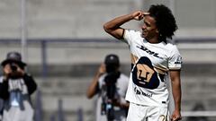 Panamá, el nuevo territorio puma gracias a Adalberto Carrasquilla