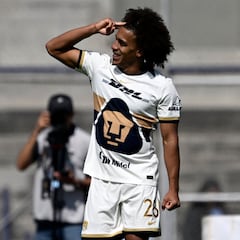 Panamá, el nuevo territorio puma gracias a Adalberto Carrasquilla