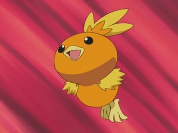 Torchic