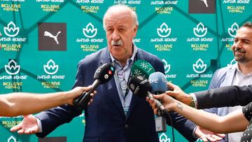 De Bosque: "¿Ser secretario de Estado? No me lo han ofrecido"