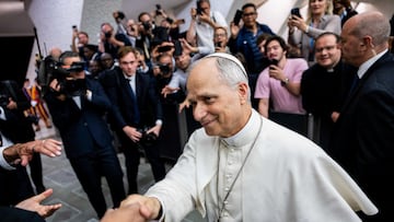 Pope Leo XIV shakes hand with a person, on the day of an audience with representatives of the media in Paul VI hall at the Vatican, May 12, 2025. REUTERS/Eloisa Lopez