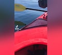 Dos chicas en un kayak y aparece una manada de orcas