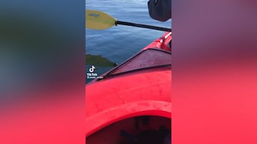 Dos chicas en un kayak y aparece una manada de orcas