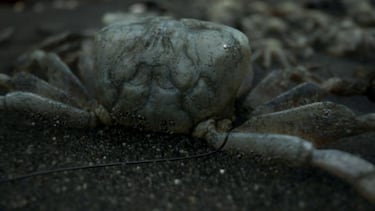 Qué podemos esperar de Death Stranding