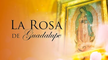 Rosa de Guadalupe 2022: Cuántos años lleva al aire, total de temporadas y episodios