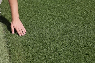 Imagen detallada del césped colocado en el nuevo estadio.