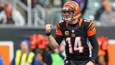 Jan 1, 2017; Cincinnati, OH, USA; Cincinnati Bengals quarterback Andy Dalton (14) reacts to the touchdown by running back Rex Burkhead (not pictured) against the Baltimore Ravens in the first half at Paul Brown Stadium. Mandatory Credit: Aaron Doster-USA TODAY Sports
