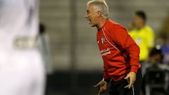 "Los clubes se forman con el ADN y Palestino ya lo tiene adquirido"