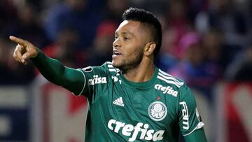Miguel Borja, delantero colombiano en Palmeiras