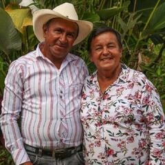 Devolución del IVA: cuánto dinero me corresponde y hasta cuándo puedo solicitarlo