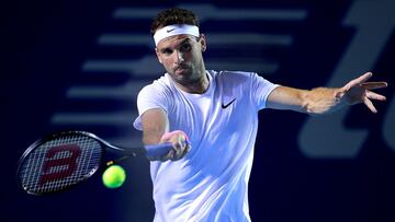 Abierto de Acapulco ATP 2021: cuadro, calendario, jugadores, partidos y resultados del México Open