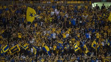 Buscará Tigres retribución a los abonados