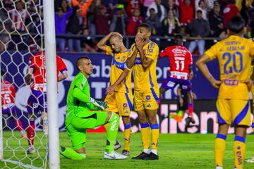 Joaquim Pereira of Tigres regrets own goal  during the Quarter final first leg round match between Atletico de San Luis vs Tigres UANL as part of the Liga BBVA MX, Torneo Apertura 2024 at Alfonso Lastras Stadium on November 28, 2024 in San Luis Potosi, Mexico.