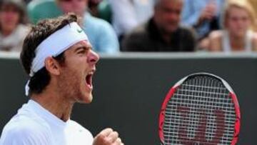 Del Potro pasa a octavos tras superar al francés Simon