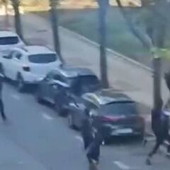 Altercados entre aficionados del Alavés y el Betis antes del partido