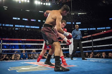  “Tiene un poder devastador”: la advertencia de un ex rival noqueado por Canelo Álvarez a Terence Crawford