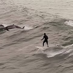 ¿Hay algo más bonito que surfear entre delfines?