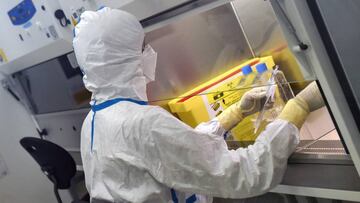 El virólogo francés Thomas Mollet trabaja en el Laboratorio de Bioseguridad de Nivel 3 de Valneva SE Group en Saint-Herblain, cerca de Nantes.
