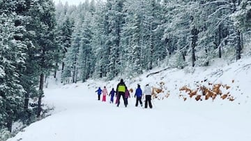Monitor esquiando con un grupo de niños por la nieve.