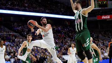 Rudy: "El Fenerbahçe hace ahora un baloncesto increíble"